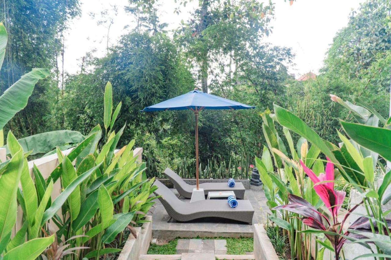 Aris House Private Pool Villa Ubud